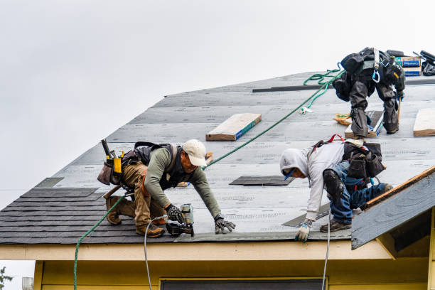 Professional Gutter Installation technician working in Charlotte, TX